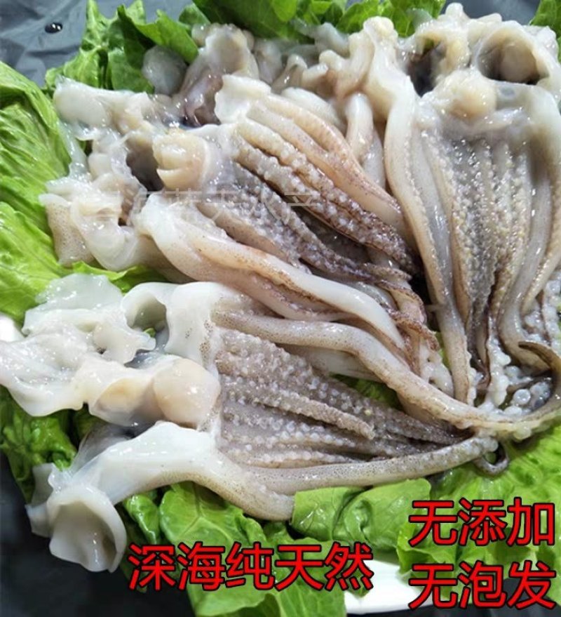 新鲜冷冻阿根廷鱿鱼头18斤去眼去牙开片鱿鱼须铁板商用海鲜