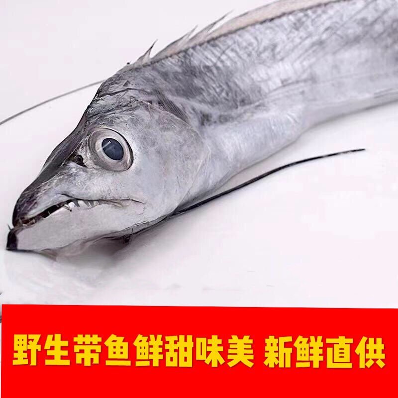 带鱼本地带鱼钓带船冻带鱼新鲜速冻发货