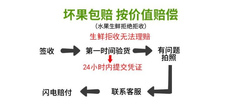 海南椰子金椰子1-10个装批发零售海南椰子