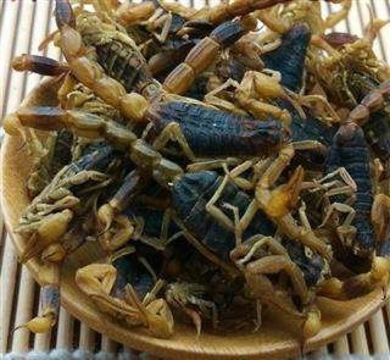 全虫，常年批发供应各种规格全虫，蝎子中药材