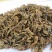 全虫，常年批发供应各种规格全虫，蝎子中药材