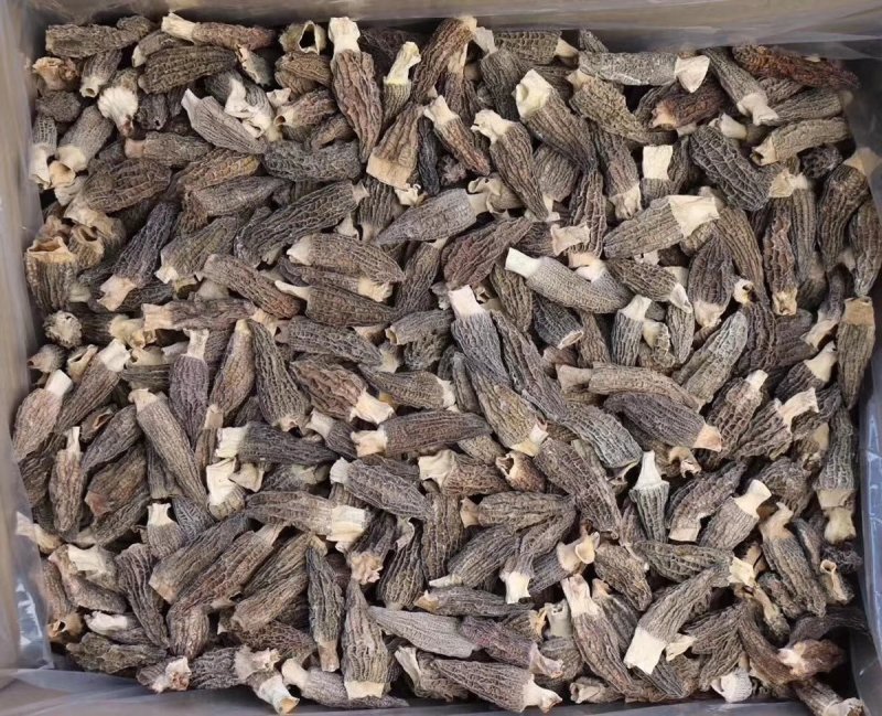中号羊肚菌。足干香味浓。一斤650元。半斤330元。