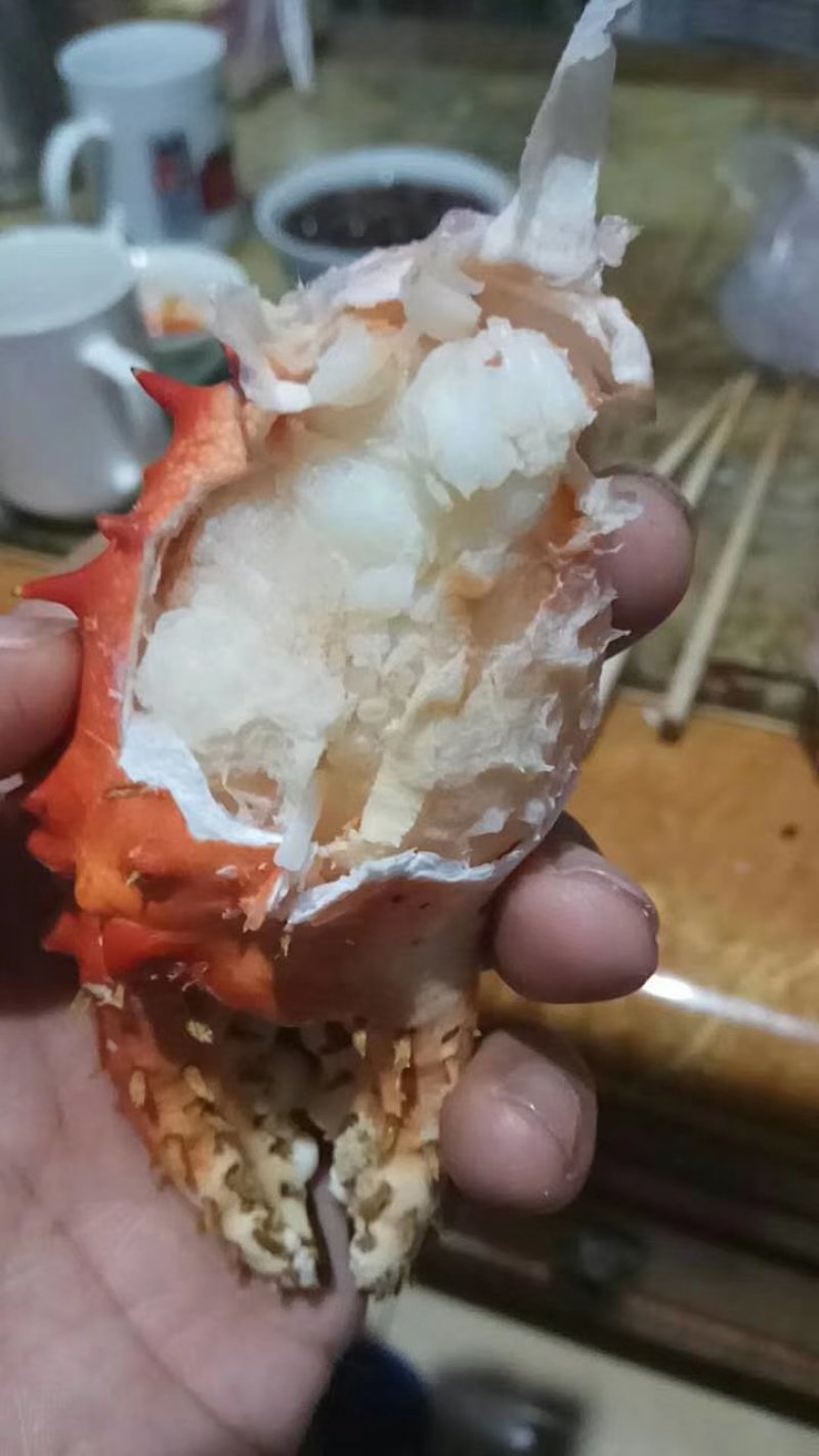 帝王蟹