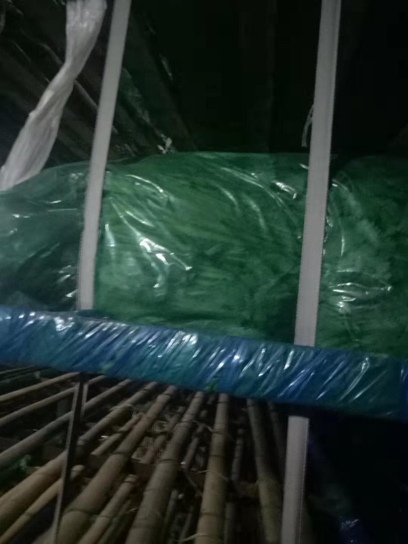 香菜，大量供应，包质量，产地直供随到随装。