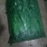 香菜，大量供应，包质量，产地直供随到随装。