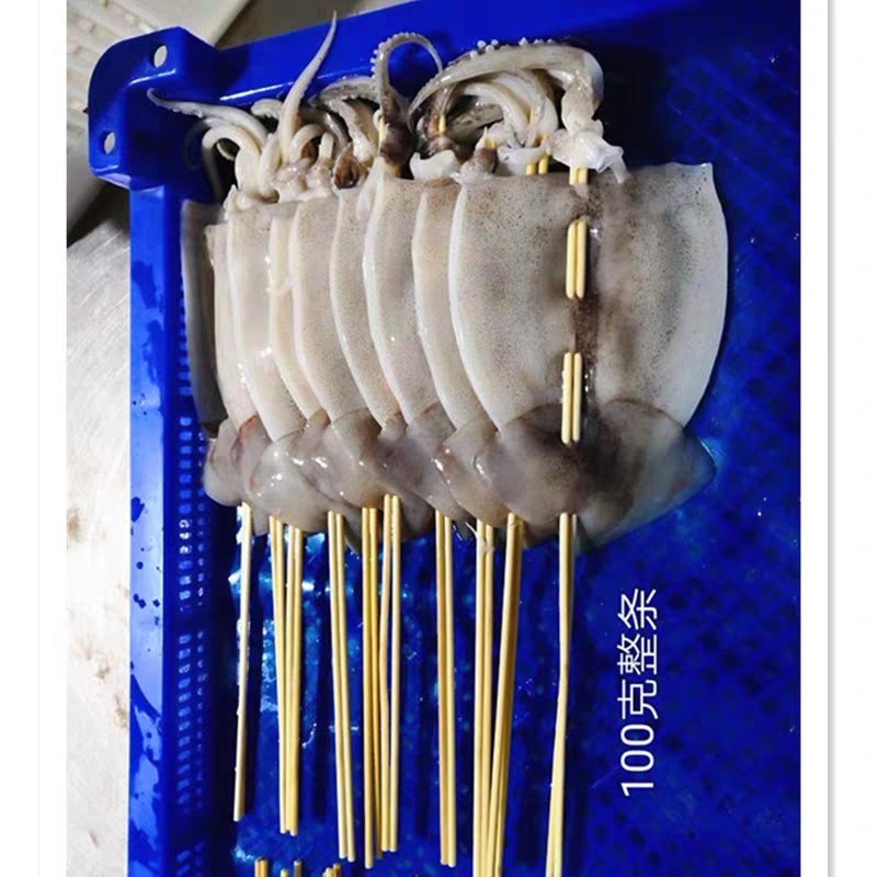 100g鱿鱼板串冷冻鱿鱼片铁板烧烤商业专用鱿鱼小串海鲜