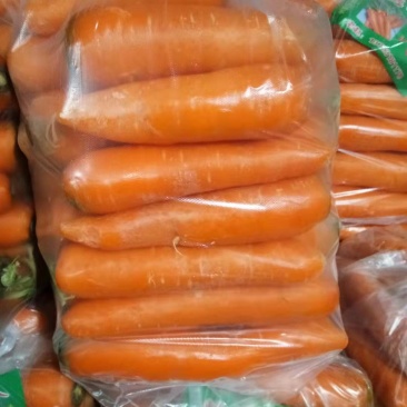 红萝卜水洗精品中条