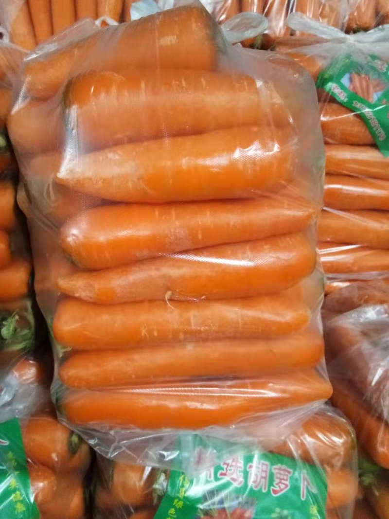 红萝卜水洗精品中条