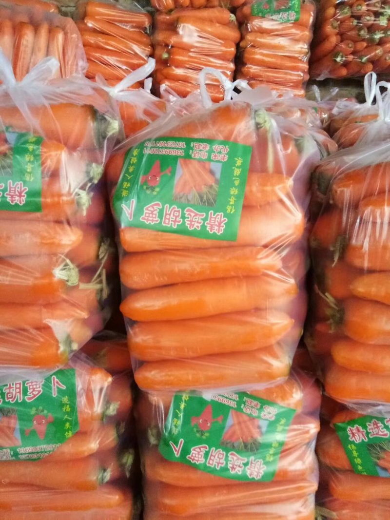 红萝卜水洗精品中条