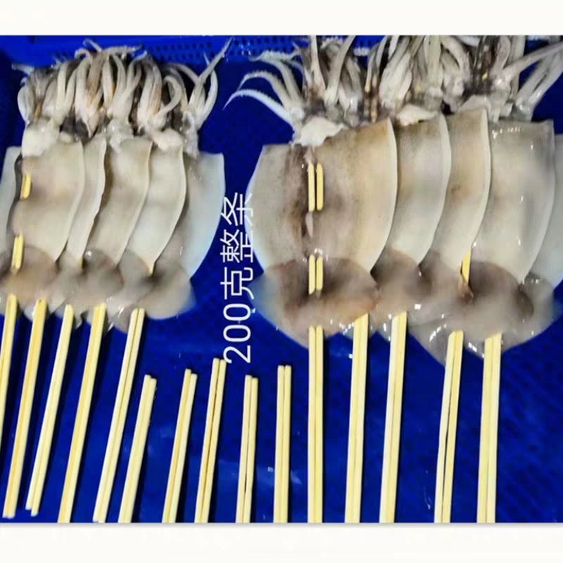 200g轰炸大鱿鱼冷冻鱿鱼板片串铁板整条鱿鱼块50串/箱