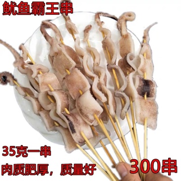 冷冻鱿鱼串鱿鱼须小串铁板专用鲜肉串300串商用烧烤食材