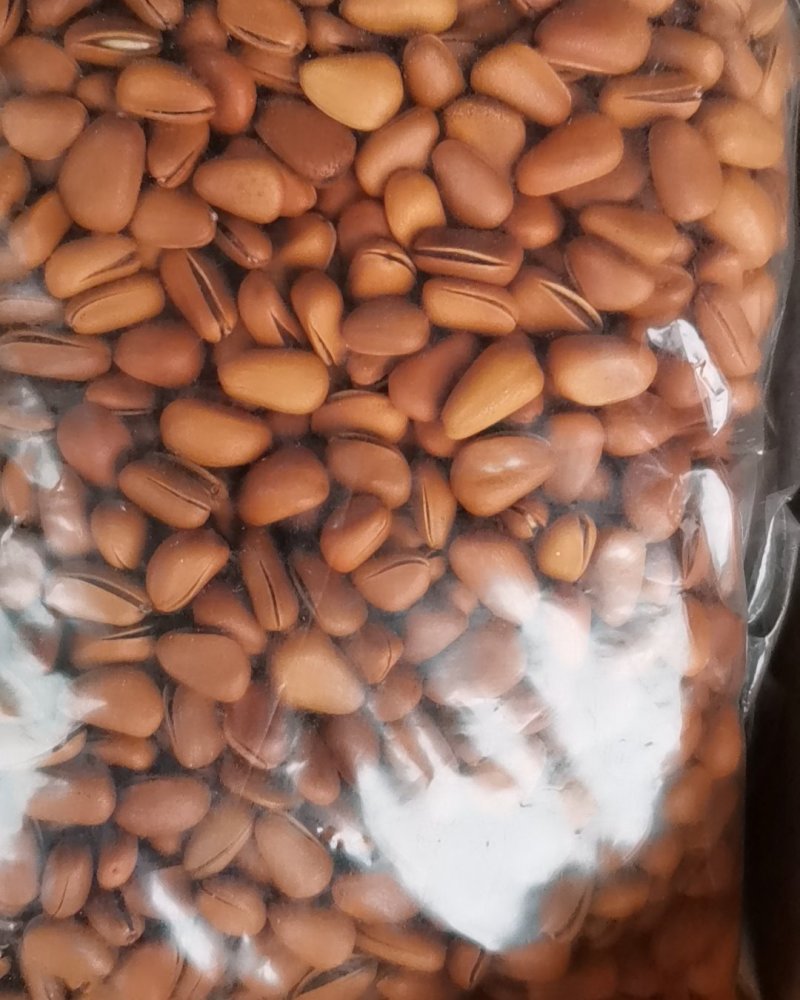 新货，东北松子，质量好口感好！包邮，全国发货