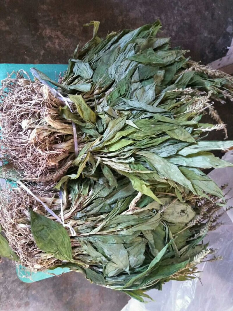 见血清干货需要联系我哦