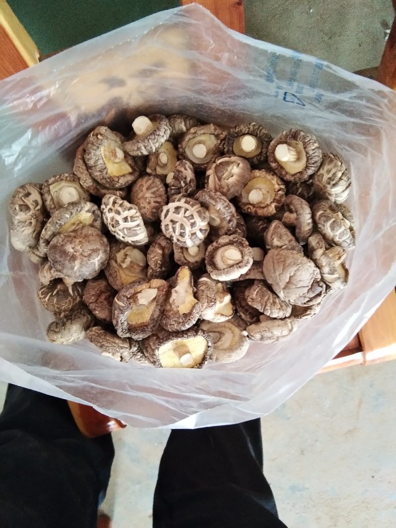 干香菇（自产自销）适用食堂级饭店
