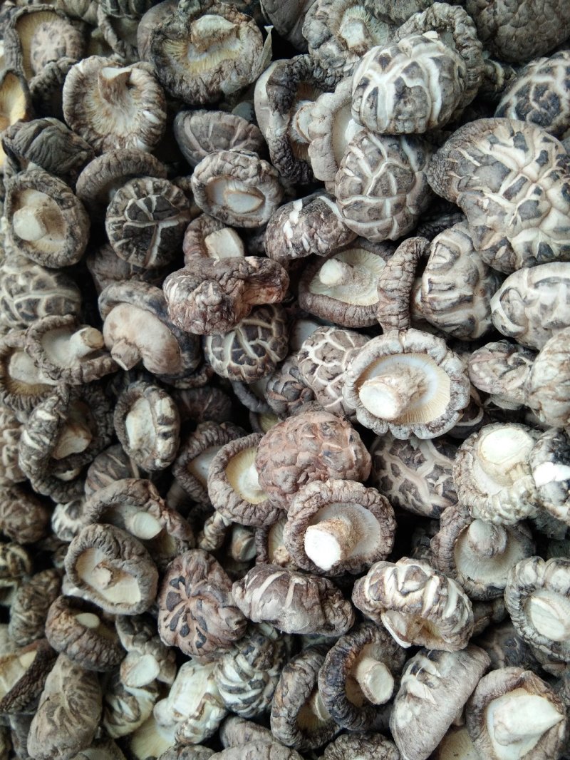 干香菇（自产自销）适用食堂级饭店