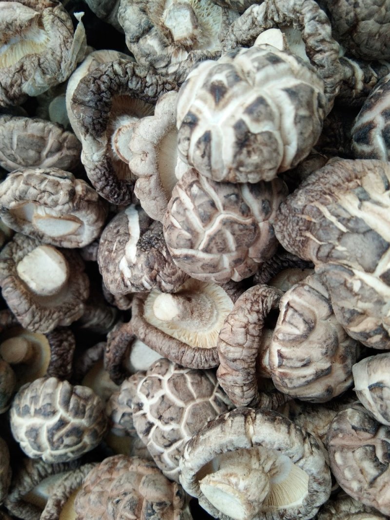 干香菇（自产自销）适用食堂级饭店