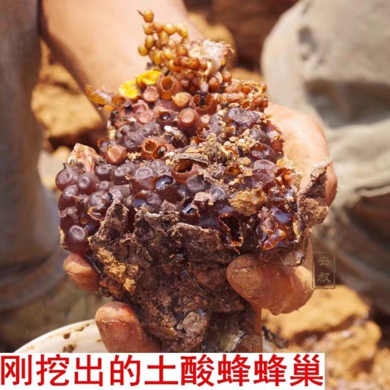 深山土蜂蜜地下蜂蜜百花蜜树洞蜂蜜一年一次收蜜