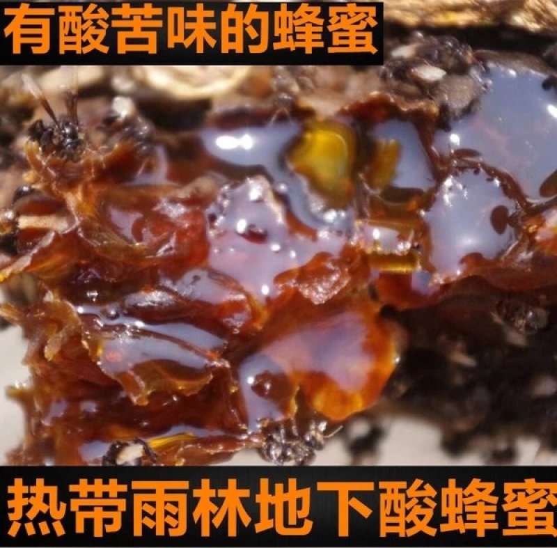 深山土蜂蜜地下蜂蜜百花蜜树洞蜂蜜一年一次收蜜