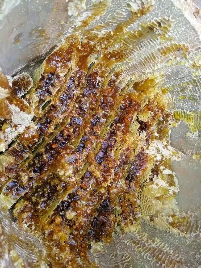 深山土蜂蜜地下蜂蜜百花蜜树洞蜂蜜一年一次收蜜