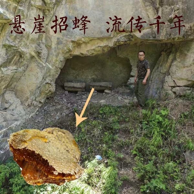 深山土蜂蜜地下蜂蜜百花蜜树洞蜂蜜一年一次收蜜
