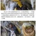 深山土蜂蜜地下蜂蜜百花蜜树洞蜂蜜一年一次收蜜