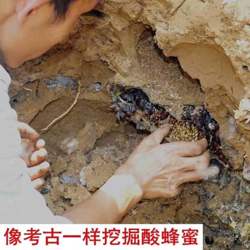 深山土蜂蜜地下蜂蜜百花蜜树洞蜂蜜一年一次收蜜