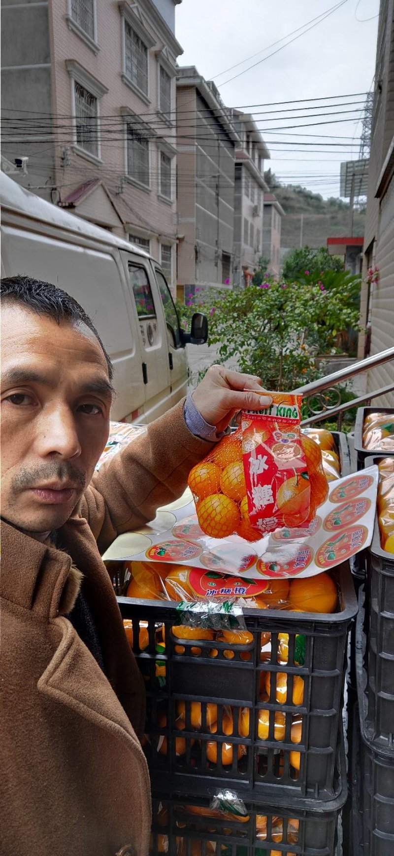 麻阳冰糖橙自家销售