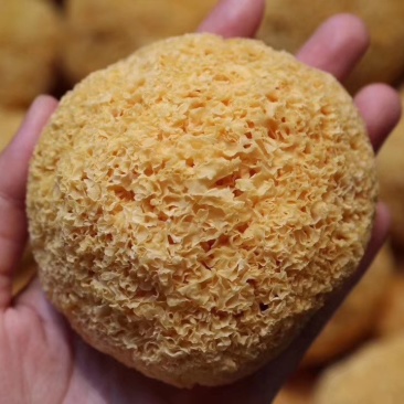 特价银耳。古田银耳。好吃