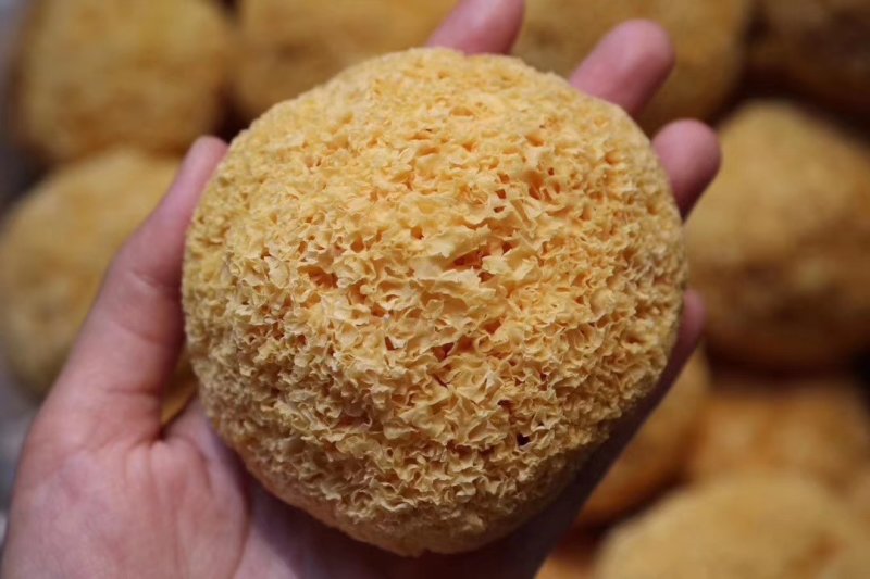 特价银耳。古田银耳。好吃