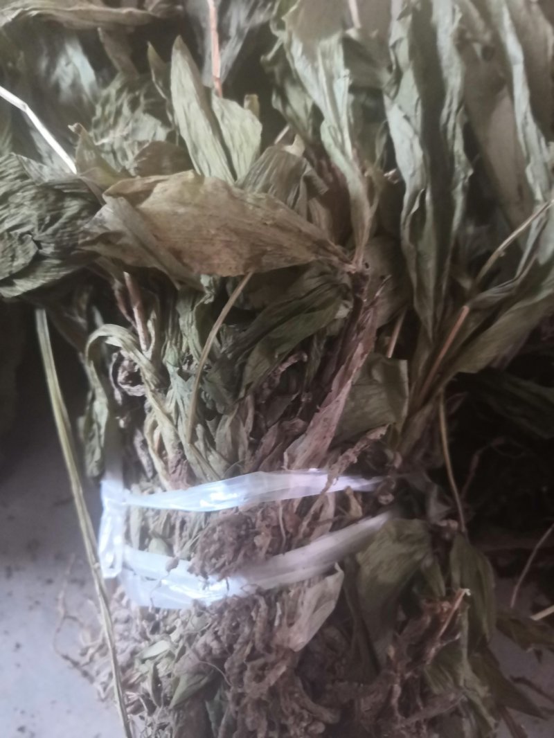 见血清（烘干货-水洗货-鲜货）新品上市啦