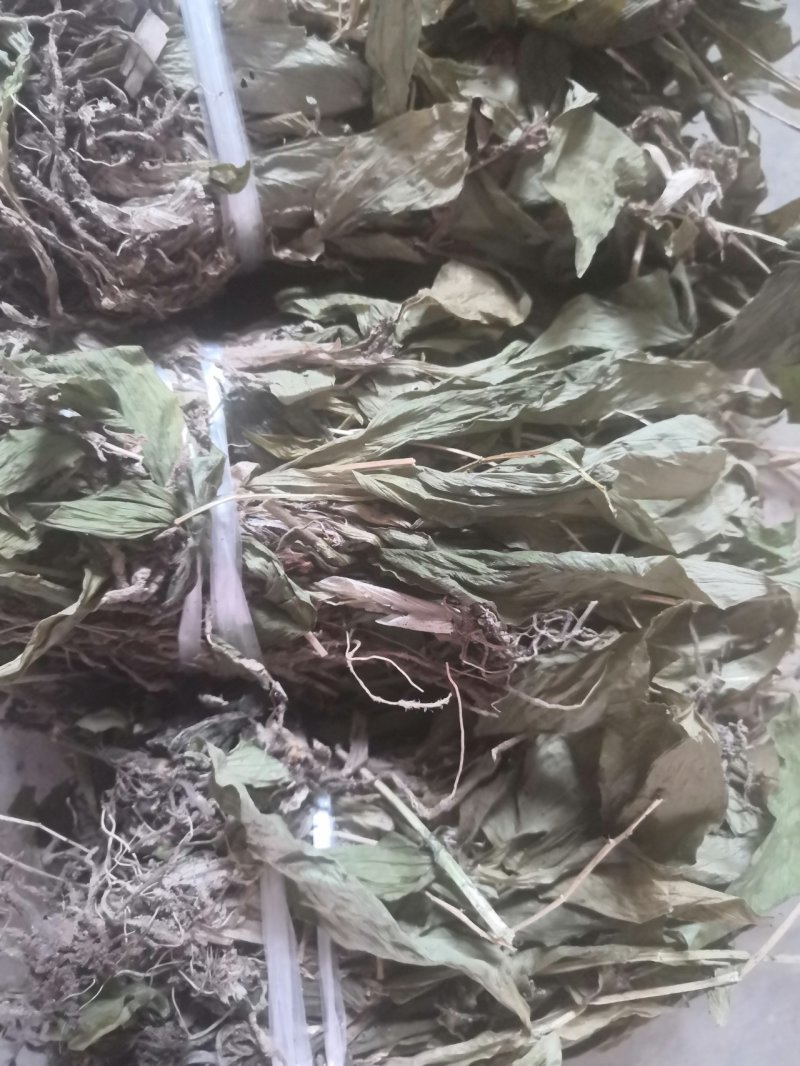 见血清（烘干货-水洗货-鲜货）新品上市啦
