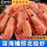 【新货】北极虾甜虾5斤满籽进口冰虾冷冻带自即食