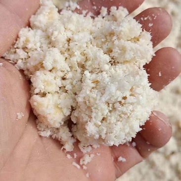 厂家直销新型豆腐渣湿豆腐渣量大稳定豆腐渣