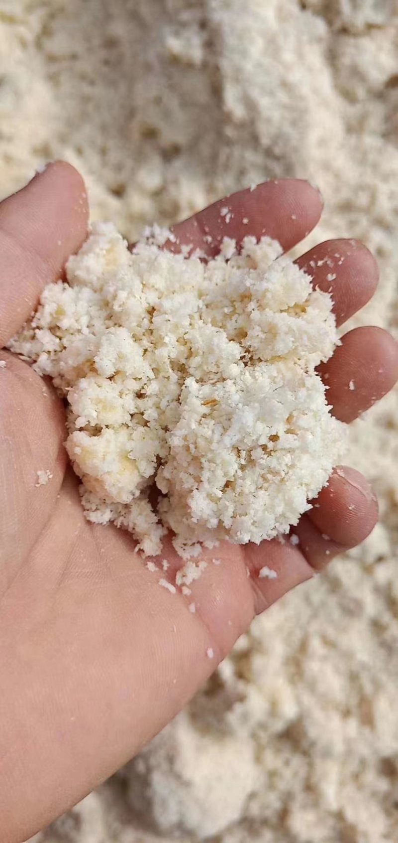 厂家直销新型豆腐渣湿豆腐渣量大稳定豆腐渣