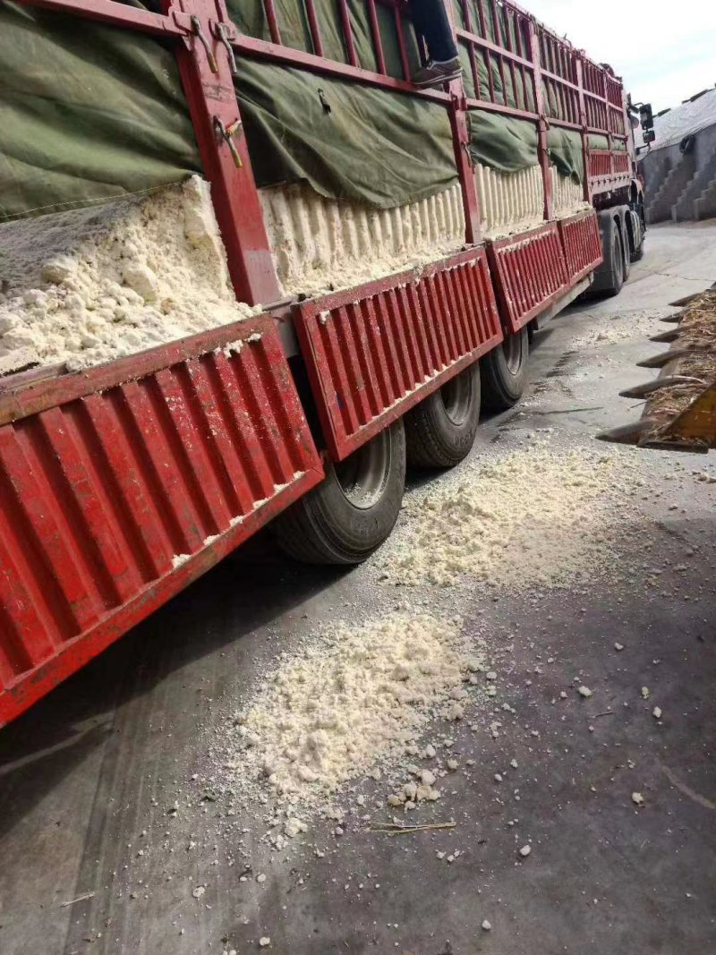 厂家直销新型豆腐渣湿豆腐渣量大稳定豆腐渣