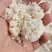 厂家直销新型豆腐渣湿豆腐渣量大稳定豆腐渣