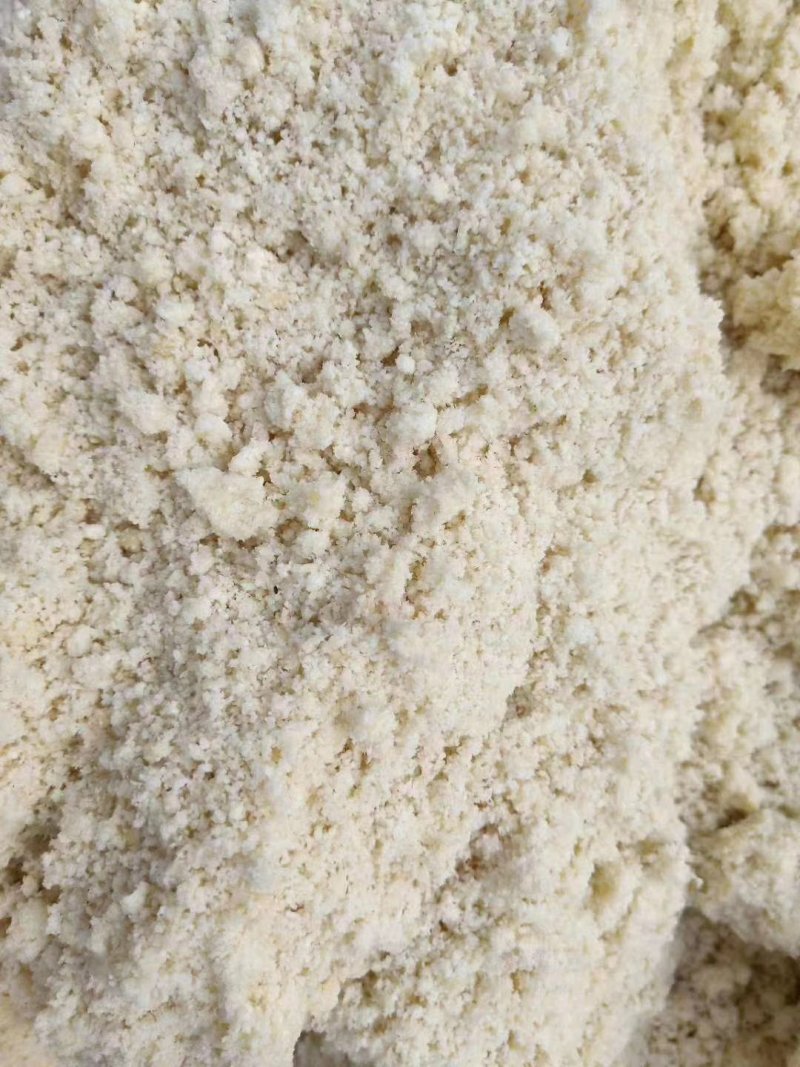 厂家直销新型豆腐渣湿豆腐渣量大稳定豆腐渣