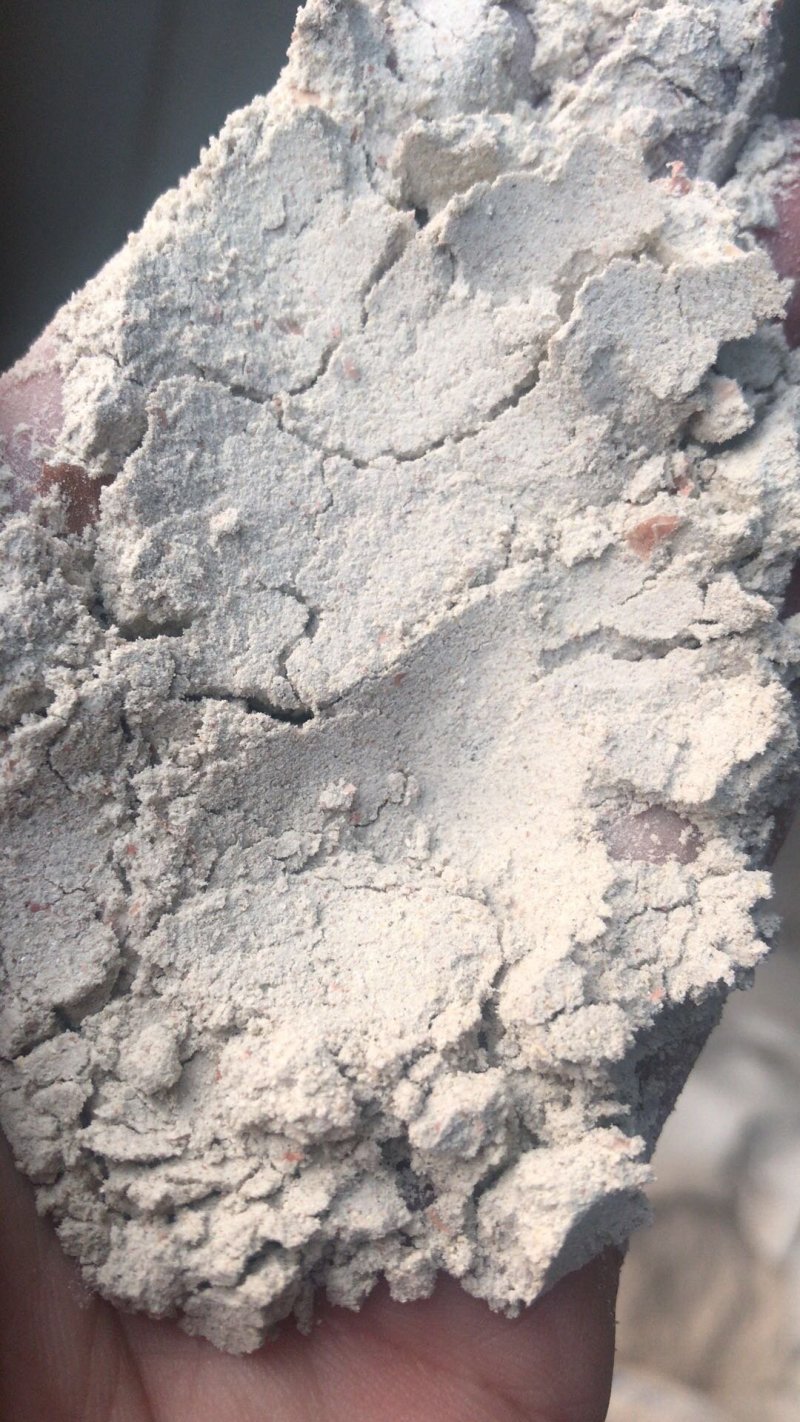 厂家直销新型豆腐渣湿豆腐渣量大稳定豆腐渣