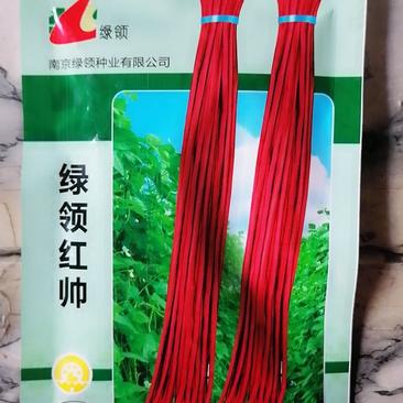 绿领红帅红豇豆种子，红条，荚长90厘米到100厘米