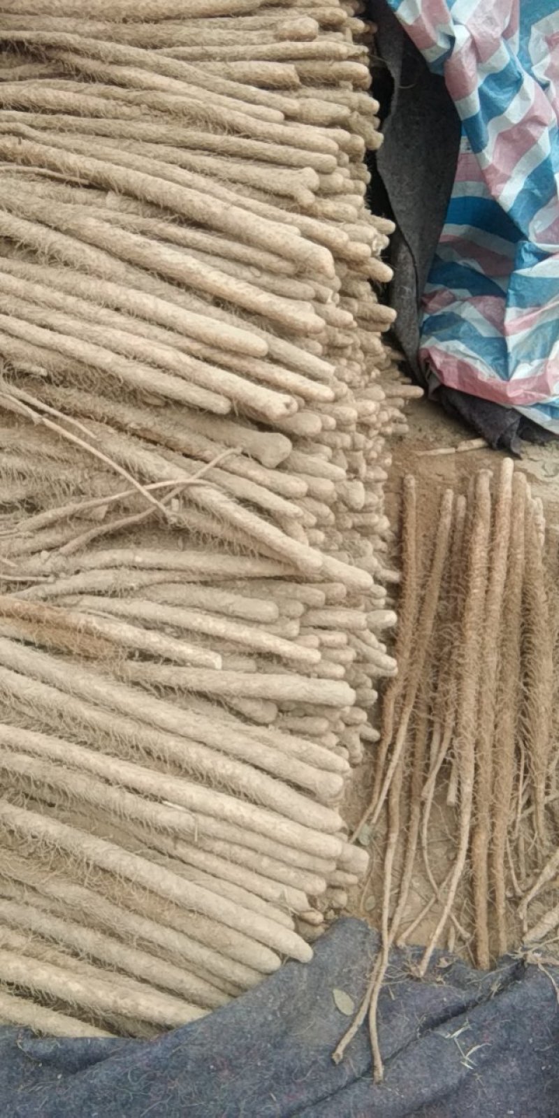 山西永济铁棍山药，产地直发，货源充足，量大从优，全国发货