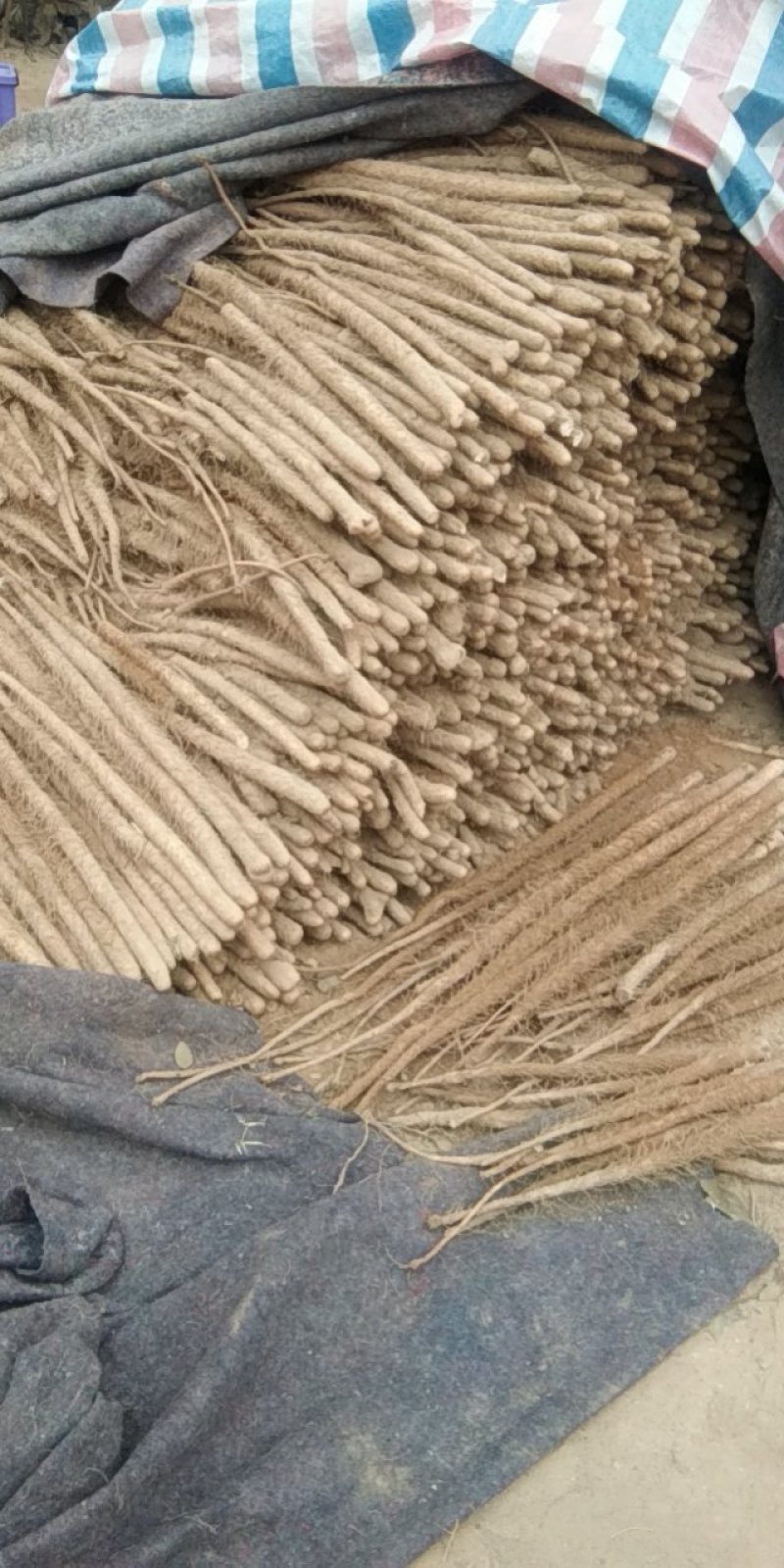山西永济铁棍山药，产地直发，货源充足，量大从优，全国发货