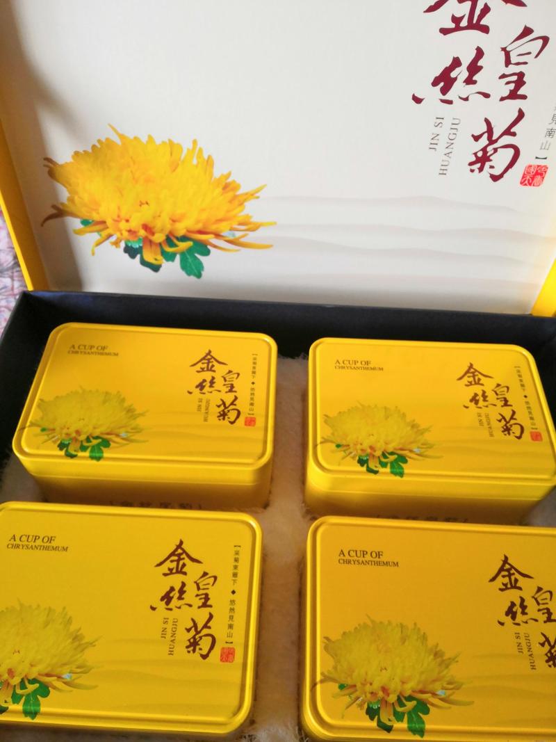 金丝皇菊特级一杯一朵一件代发大礼盒包装