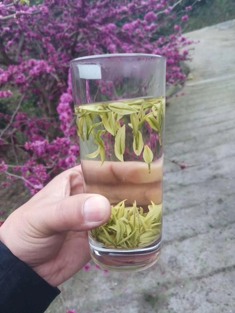 富硒白茶