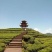 富硒白茶
