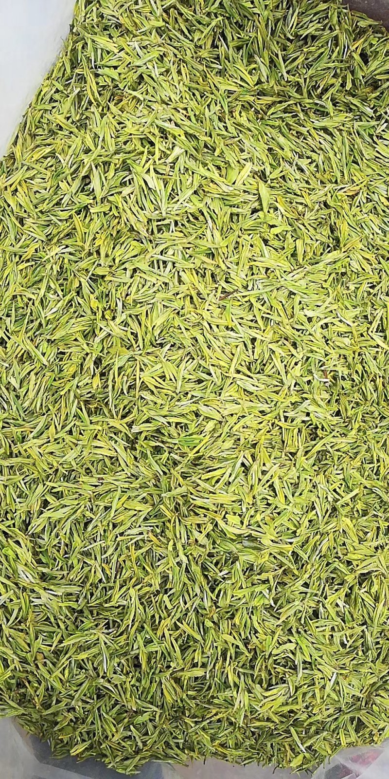 富硒白茶