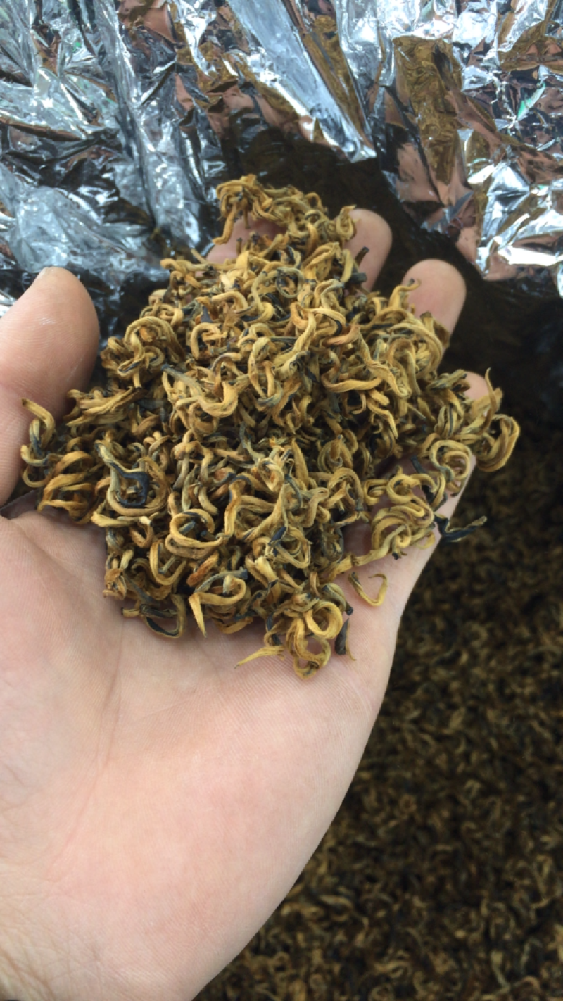 聚便宜滇红金螺红茶凤庆滇红金螺蜜香金螺包邮