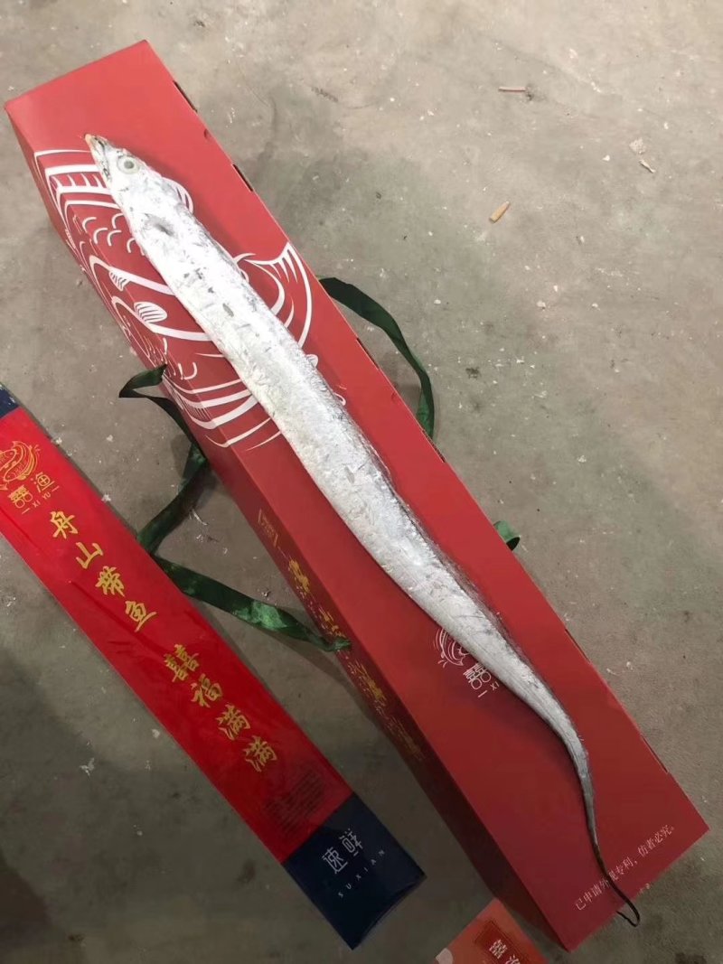 带鱼