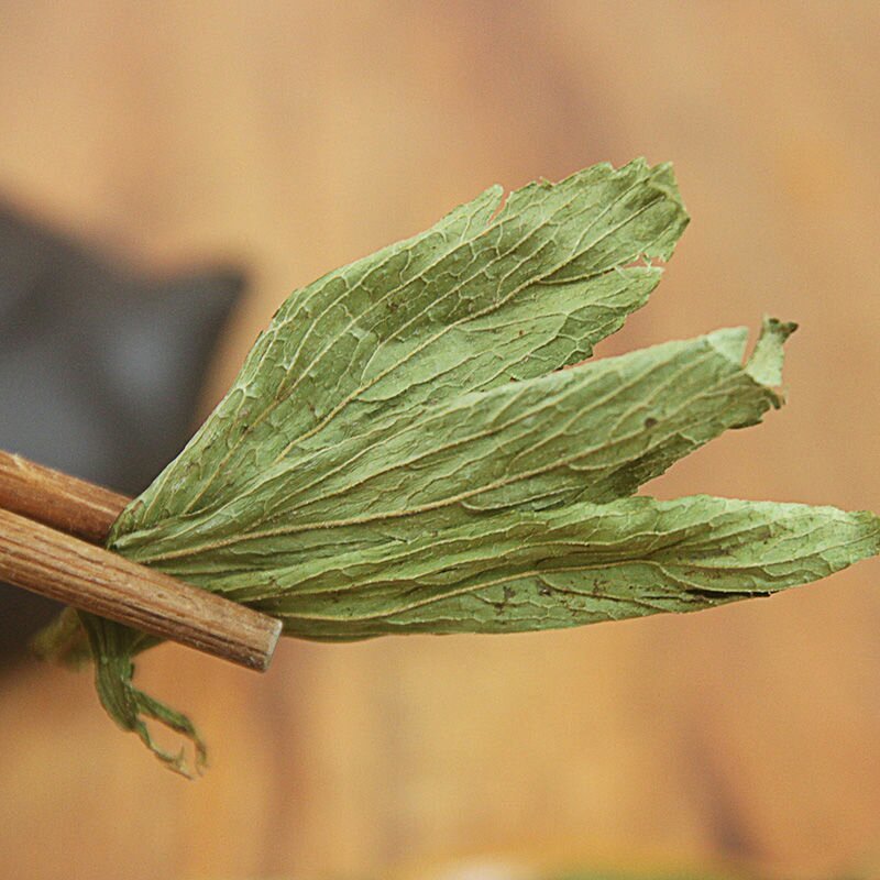 甜叶菊甜叶菊茶糖的替代品糖度高低热量