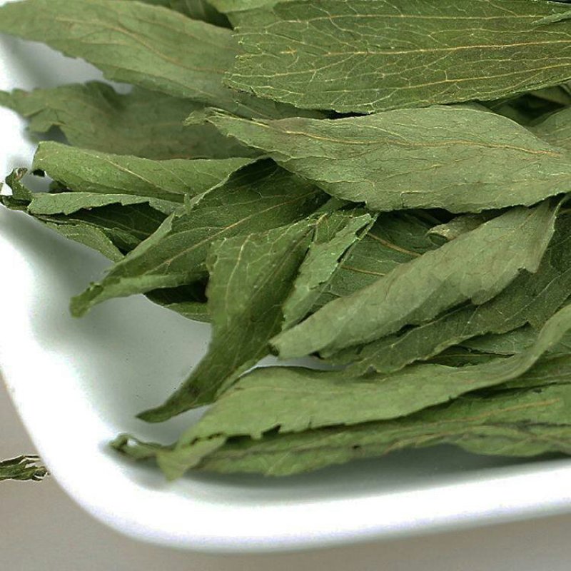 甜叶菊甜叶菊茶糖的替代品糖度高低热量
