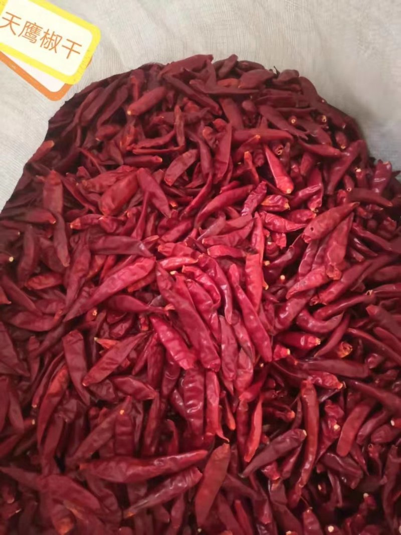 河南柘城辣椒香辣，高辣，辣椒王段